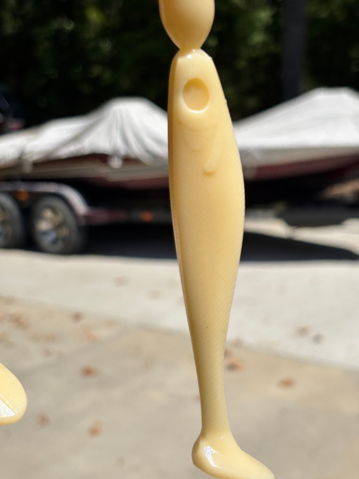 5" Swimbaits (Bone)